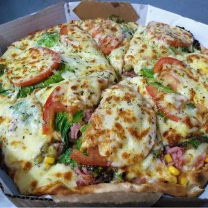 PIZZA BURGUER FRANGO